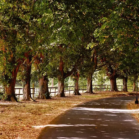 Castle Σπίτι διακοπών *