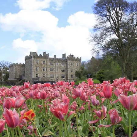 Castle * Γουότερφορντ