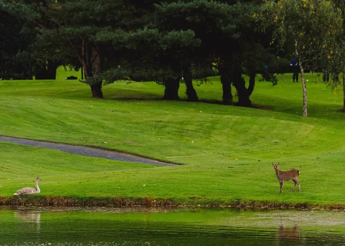 Ferienhaus Castle Waterford
